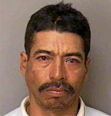 Garcia-Hernandez Agustin - Polk County, FL 