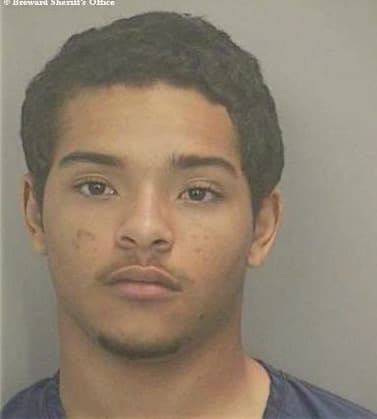 Johnson Alexander - Broward County, FL 