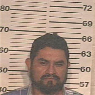 Sanchez Javier - Hidalgo County, TX 