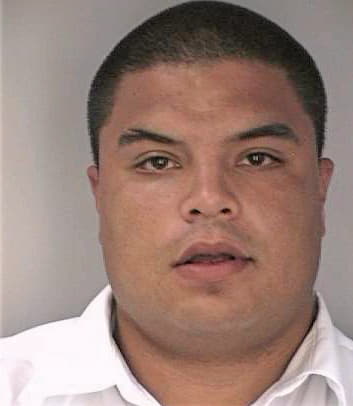 Mejia Miguel - Hillsborough County, FL 