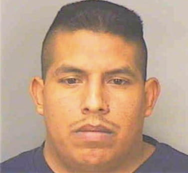 Helguera Ricardo - Polk County, FL 