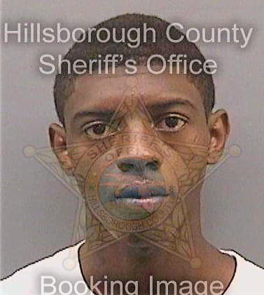 Davis Dwayne - Hillsborough County, FL 