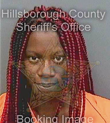 Johnson Chandra - Hillsborough County, FL 