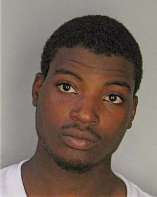 Bowie Damian - Hillsborough County, FL 