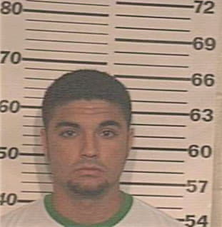 Andrade Hector - Hidalgo County, TX 