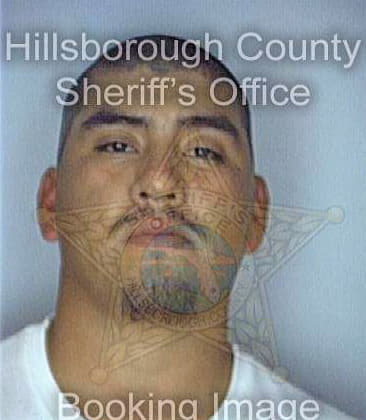 Arriagagarcia Jose - Hillsborough County, FL 