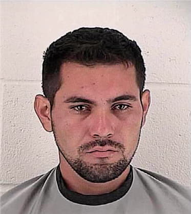 Leyva Elser - Johnson County, KS 