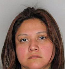 Leon Ileana - Hillsborough County, FL 
