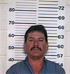 Olguin Jose - Hidalgo County, TX 