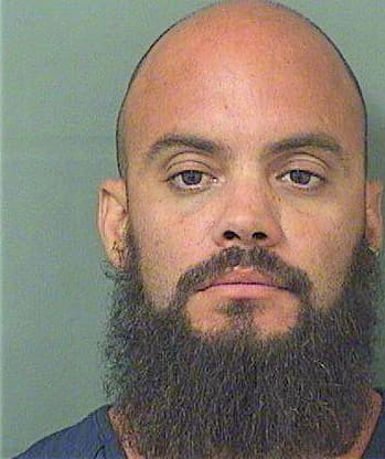 Renzi Bradley - PalmBeach County, FL 