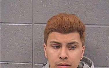Gavina Hector - Cook County, IL 