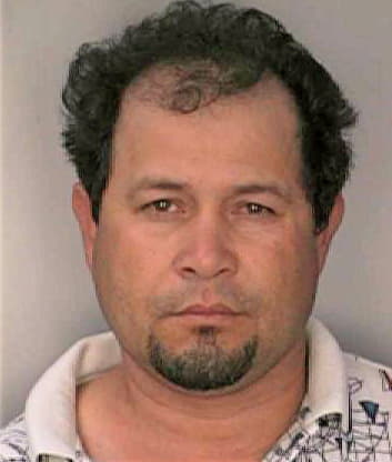 Gonzalez Henry - Hillsborough County, FL 