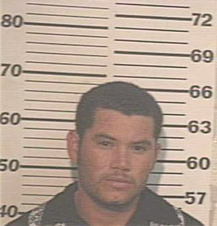 Hernandez Ismael - Hidalgo County, TX 
