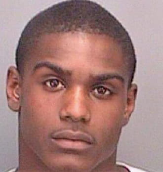 Devine Michael - Pinellas County, FL 