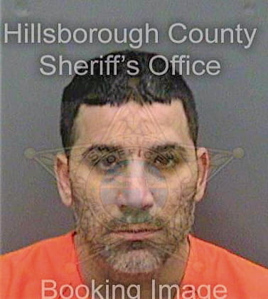Lermos Michael - Hillsborough County, FL 