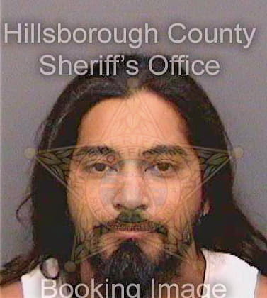 Garza Moses - Hillsborough County, FL 