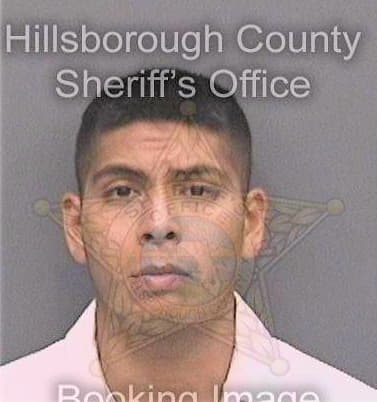 Vega Pedro - Hillsborough County, FL 