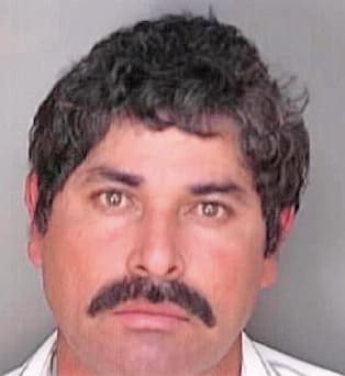 Bustos Areli - Polk County, FL 