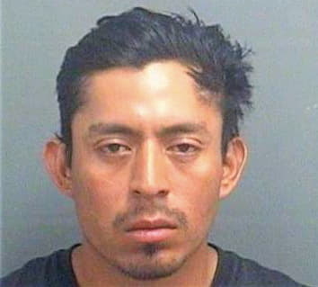 Velascosanto Carlos - PalmBeach County, FL 