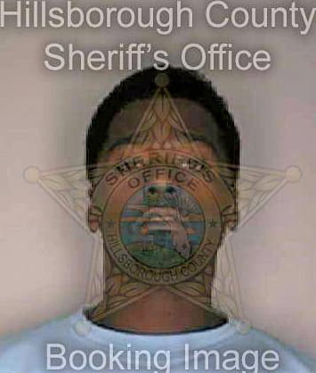 Wright Horatio - Hillsborough County, FL 