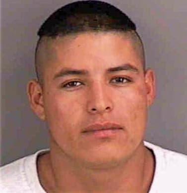 Cortezsilva Ricardo - Collier County, FL 