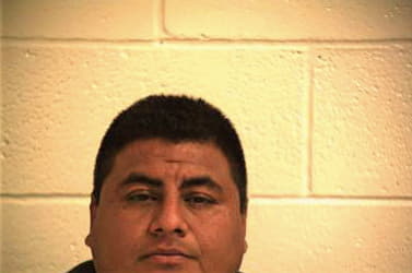 Gaona Ricardo - Hidalgo County, TX 