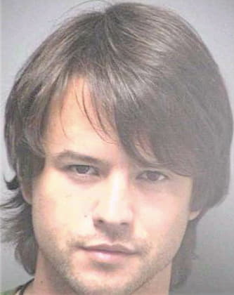 Dennison Victor - Hillsborough County, FL 