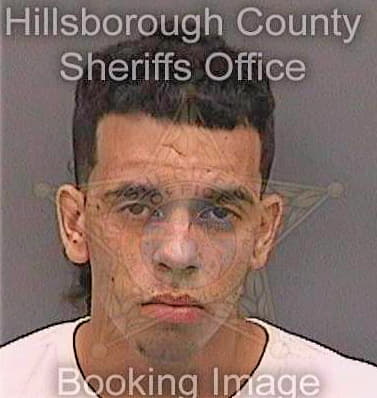 Amadorgarcia Angel - Hillsborough County, FL 