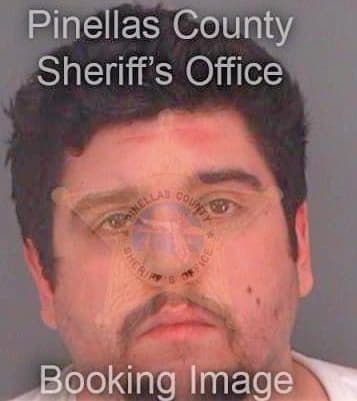 Cole John - Pinellas County, FL 