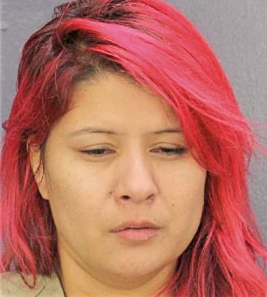 Andrade Jonelle - Broward County, FL 