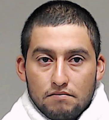 Garcia-Baeza Jose - Collin County, TX 