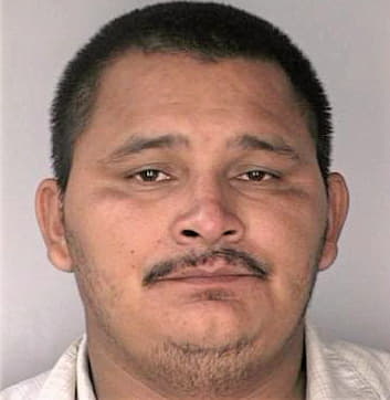 Mendoza Jose - Hillsborough County, FL 