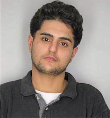 Ravaee Mohammad - Hillsborough County, FL 