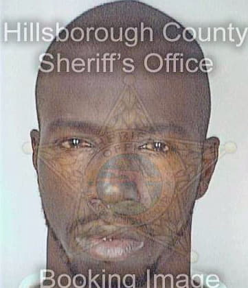 Nealy Roger - Hillsborough County, FL 