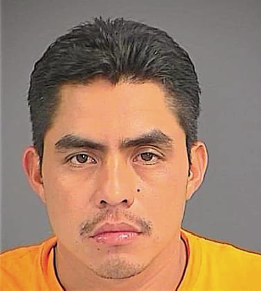 Gonzalez Vicente - Charleston County, SC 