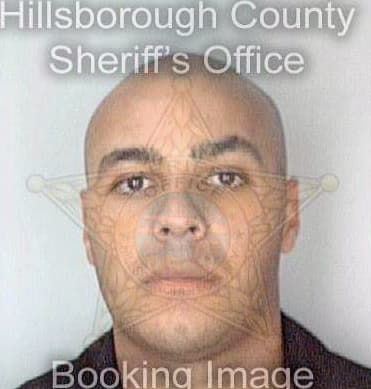 Cruz Anyer - Hillsborough County, FL 