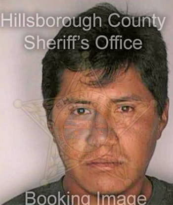 Diazbarba Francisco - Hillsborough County, FL 