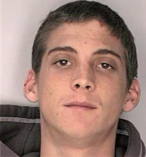 Hankins Nicholas - Hillsborough County, FL 