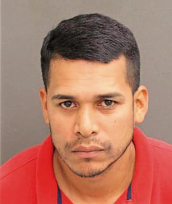Floresgarcia Paulino - Orange County, FL 