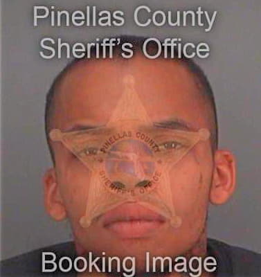 Bryant Robert - Pinellas County, FL 