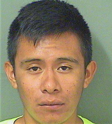 Agustin Wilfred - PalmBeach County, FL 