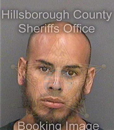 Riveraacevedo Francisco - Hillsborough County, FL 