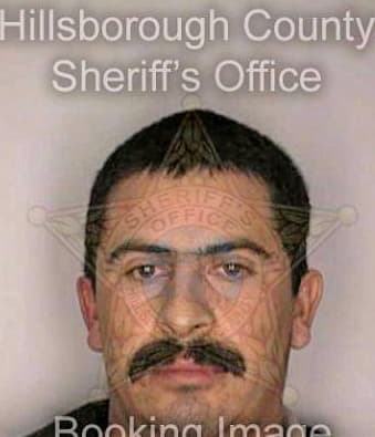 Villanuevaalvarado Hector - Hillsborough County, FL 