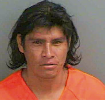 Bautista-Santiago Regino - Collier County, FL 