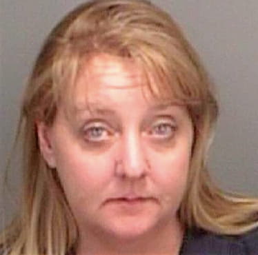 Tosheff Lisa - Pinellas County, FL 