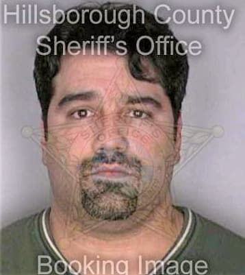 Gutierrez Nicholas - Hillsborough County, FL 