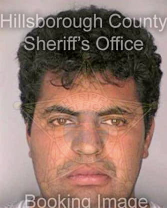 Gonzalez Octavio - Hillsborough County, FL 