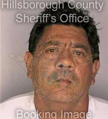 Molina Andres - Hillsborough County, FL 