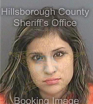Onofre Andrea - Hillsborough County, FL 