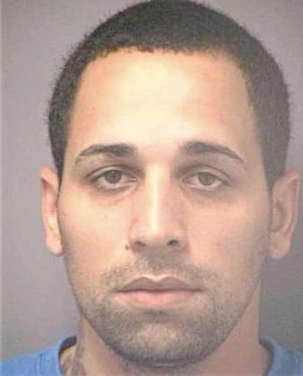 Velazquez Carlos - Hillsborough County, FL 